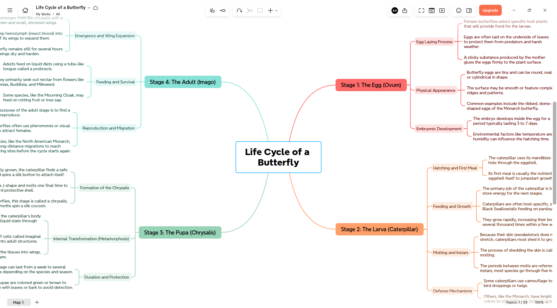 Xmind native desktop app showing a mind map