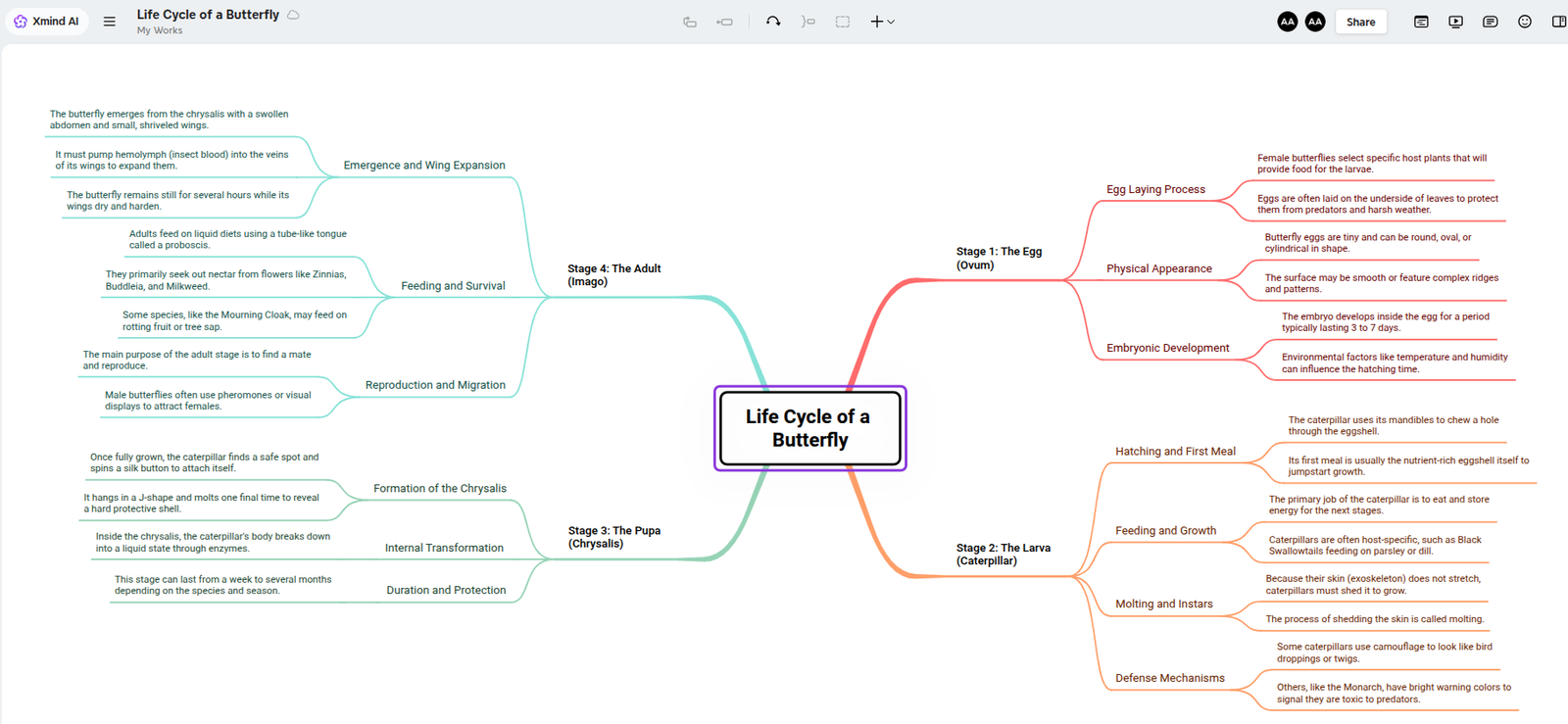 Xmind map canvas showing a deeply structured multi-branch mind map