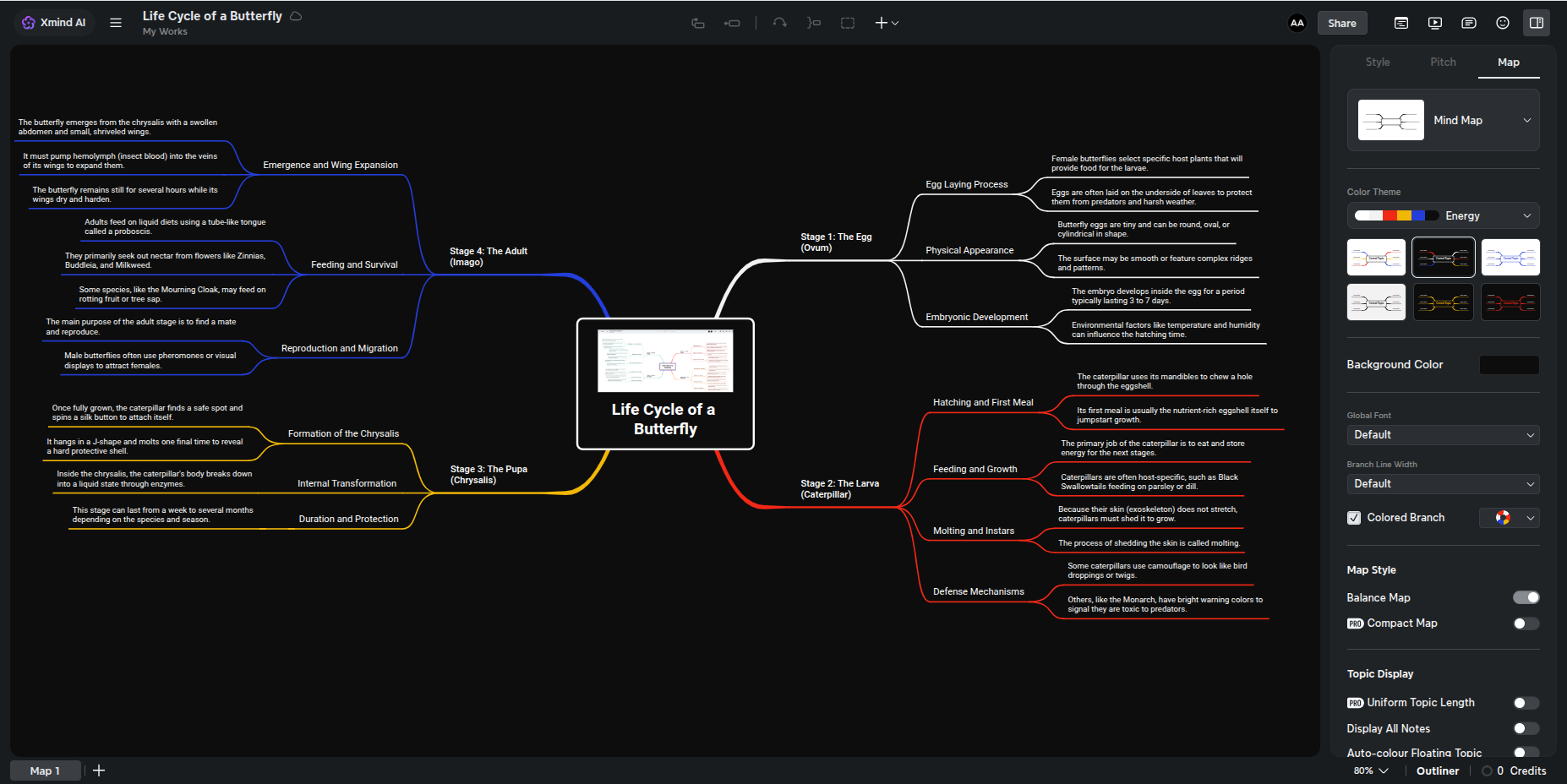 Xmind with a dark Color Theme applied, showing the toolbars and the canvas both dark