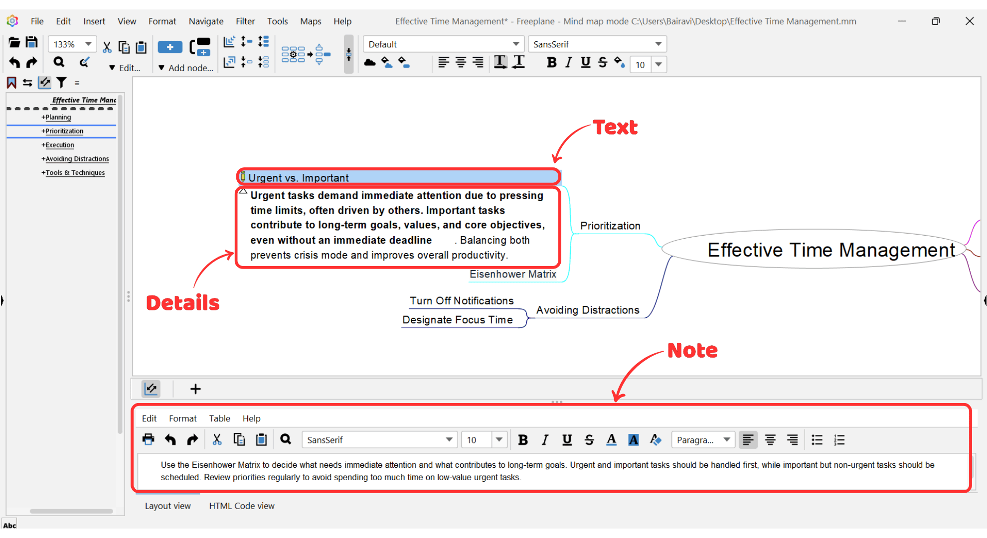 A Freeplane node with all three text fields visible: node text, details, and a note panel