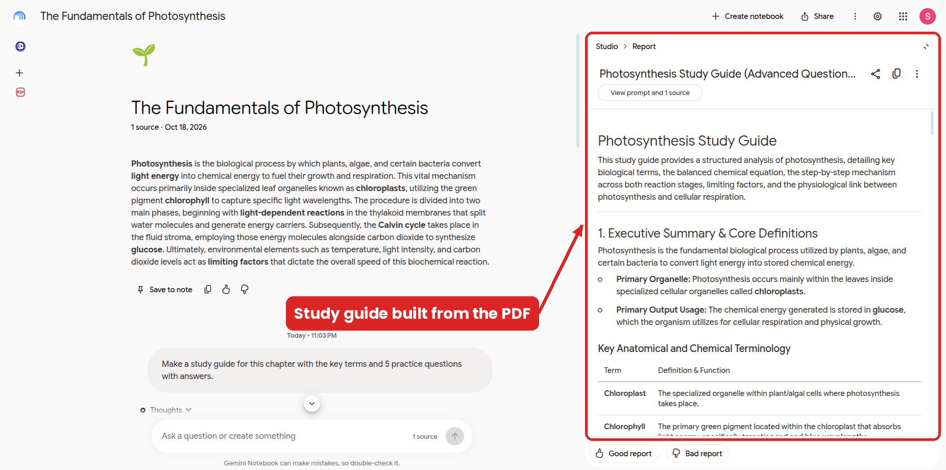 Gemini Notebook study guide built from the photosynthesis PDF, with a summary and a key terms table in the Studio panel