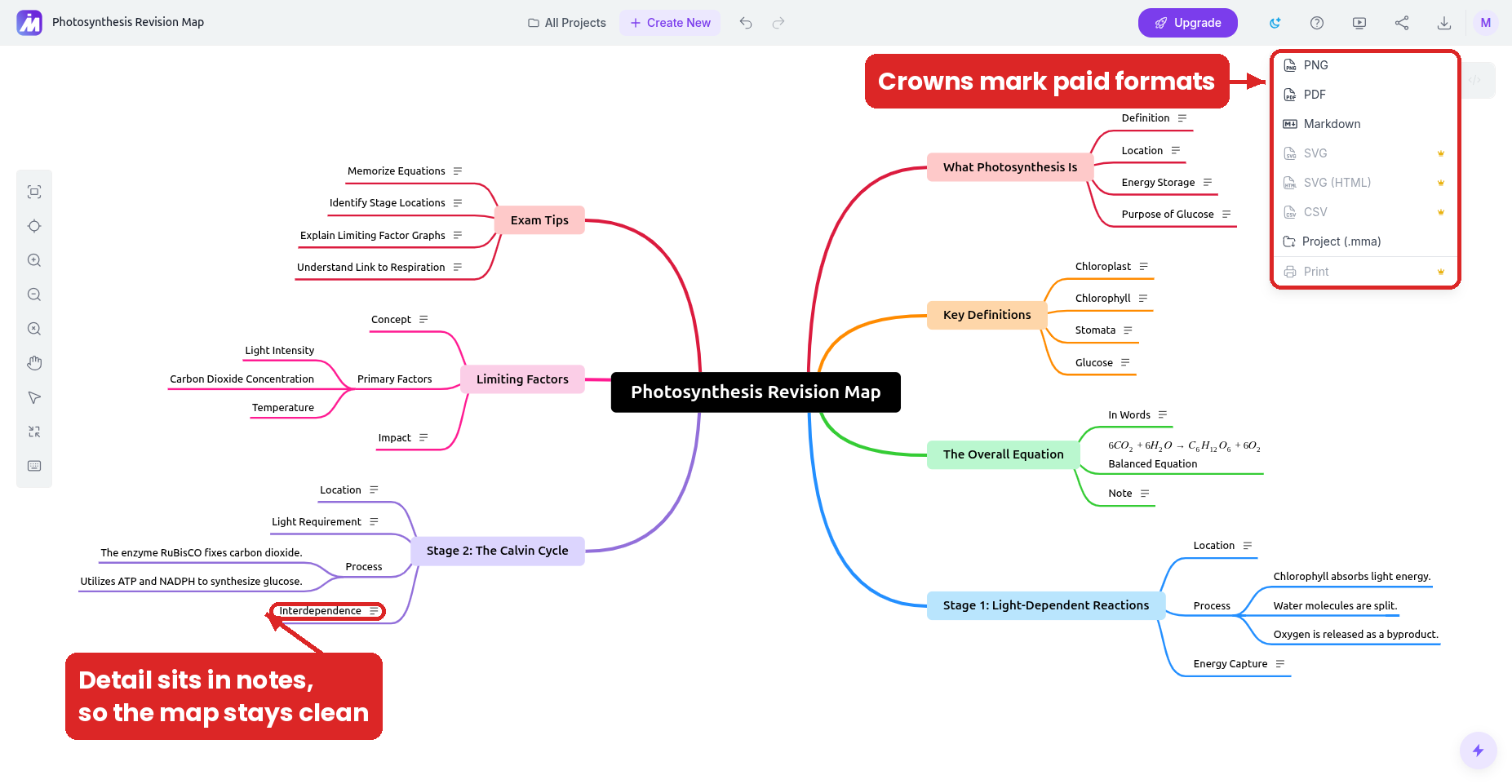 A MindMap AI revision map of the photosynthesis chapter, with one branch per section, notes on nodes and the export menu open