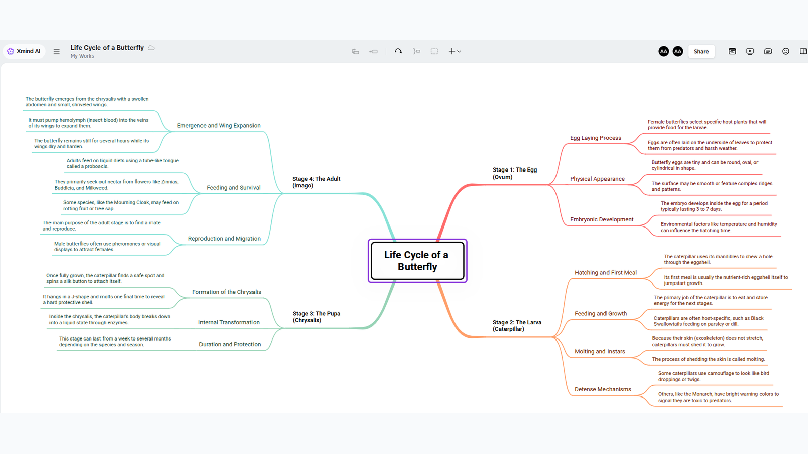 Xmind canvas showing a structured mind map with several branch levels