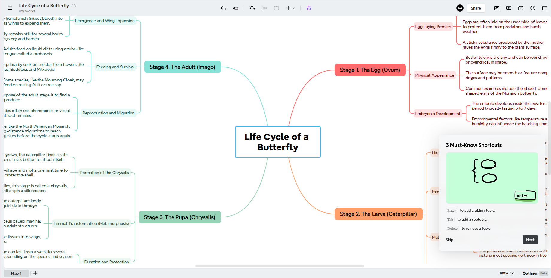 Xmind Interface