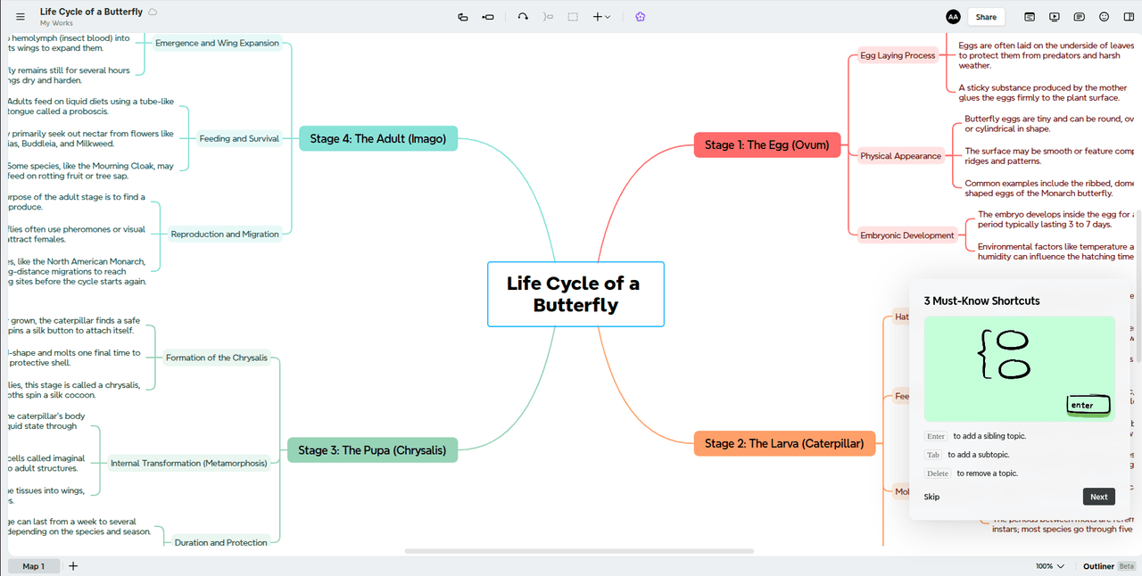 Xmind Interface
